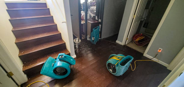 Best Commercial water damage restoration  in Beech Island, SC