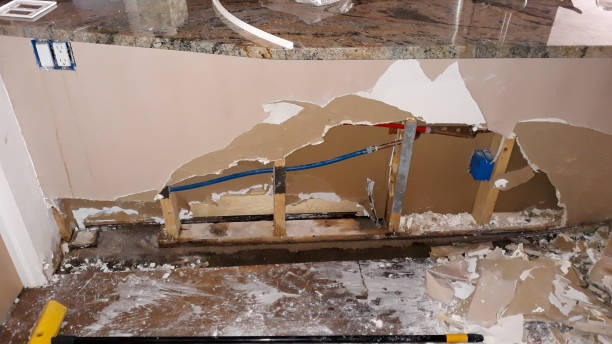 Best Water damage contractors near me  in Beech Island, SC