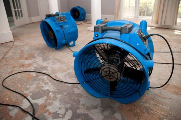 Best Water damage restoration near me  in Beech Island, SC