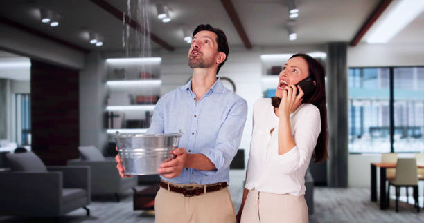 Best Professional water damage repair  in Beech Island, SC