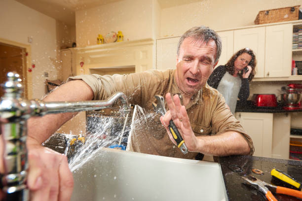 Best Mold removal after water damage  in Beech Island, SC
